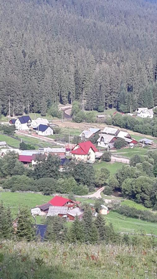 Pensiunea Argela Bagian luar foto