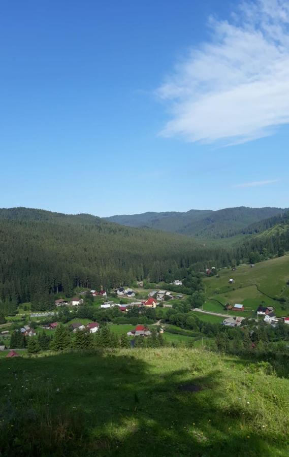 Pensiunea Argela Bagian luar foto