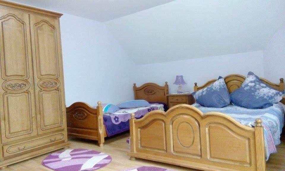 Pensiunea Argela Bagian luar foto