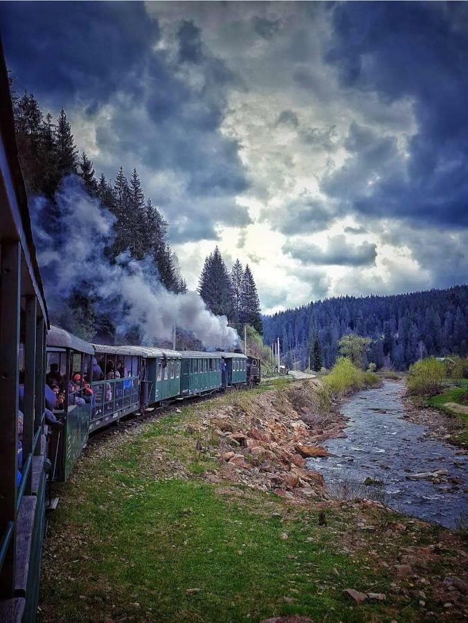 Pensiunea Argela Bagian luar foto